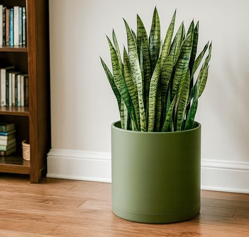 Plastic Planter Pot with Saucer (14 Inch / Olive)