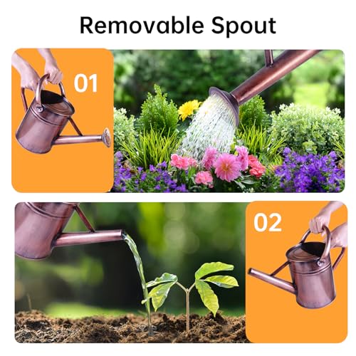 Metal Watering Can for Outdoor Plants