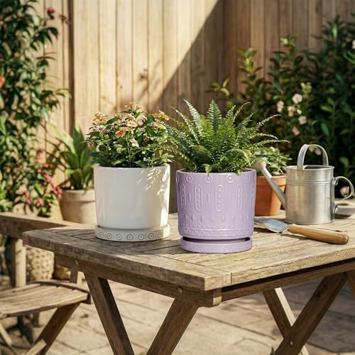 Ceramic Plant Saucer 5.6 Inch (5.6 Inch (2 Pack) / Purple)