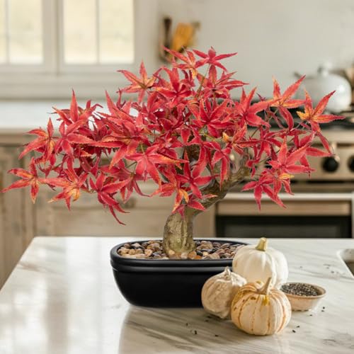 Artificial Maple Bonsai Tree (Maple)