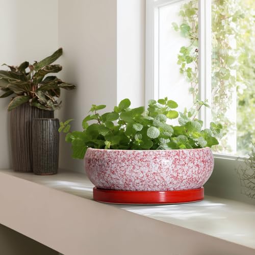 Bonsai Tree Pots 13 Inch (13 Inch / Red-white)