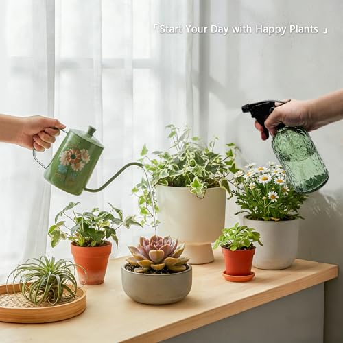 Watering Can for Indoor Plants (Green Watering Can+spray Bottle)