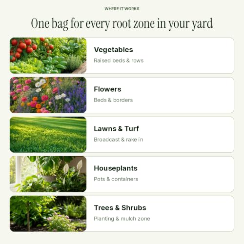 Organic Inoculated Biochar