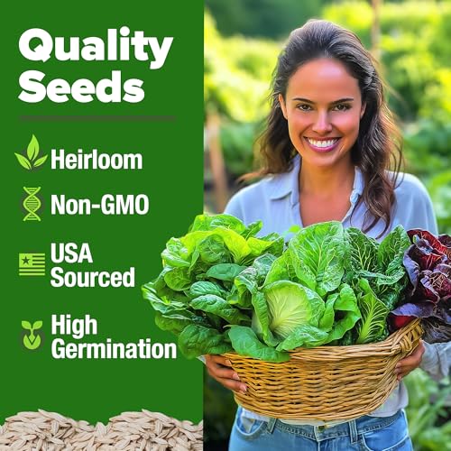 Lettuce Seeds 5 Variety Mix 3950+ Bulk Pack Heirloom Non