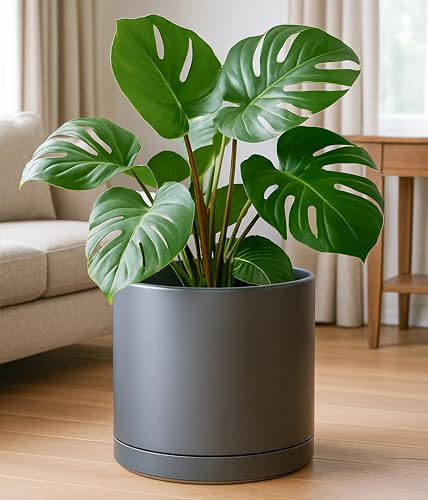 14 Inch Ceramic Planter Pot
