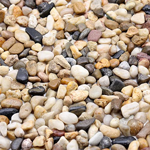 Mixed Color Rocks for Plants & Planters