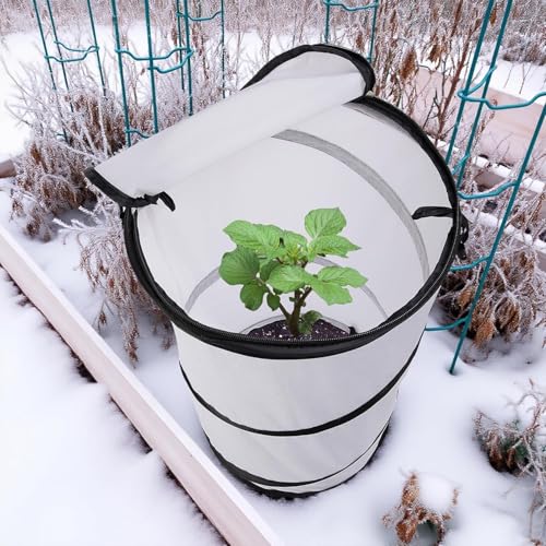 20 x 12 Inch Pop Up Winter Frost Plant Cover (White-1pc)