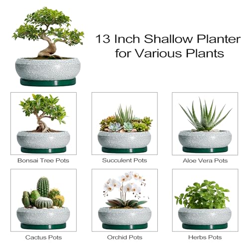 Bonsai Pots 13 Inch (13 Inch / Blackish Green-white)