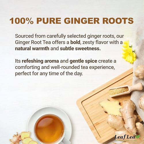 Ginger Tea Bags (160 Count)