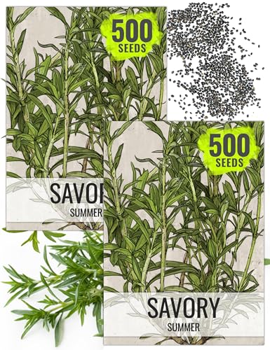 Summer Savory Seeds to Plant Heirloom Non (2 Packs)