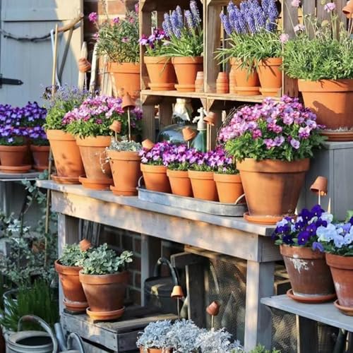 3.3 inch Small Terra Cotta Plant Saucers (3.3 inches)