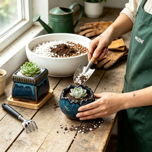 5PACK Glazed Bonsai Planter 3" Small Succulent Pots (5pcs Pots With Trays)
