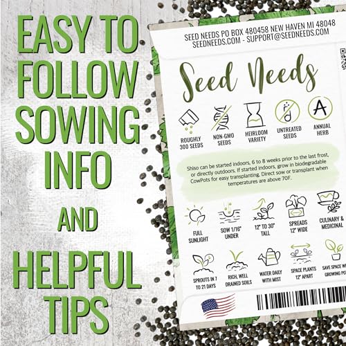 Green Shiso Seeds to Plant Heirloom Non (2 Packs)