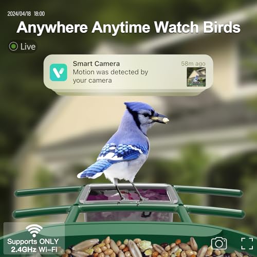 Smart Bird Feeder with Camera Solar Powered