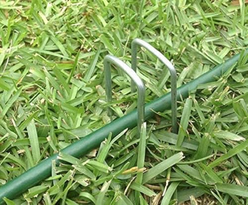 Landscape Staples 8 Inch Galvanized Anti (8'' x 50Pcs-11Ga / Silver)