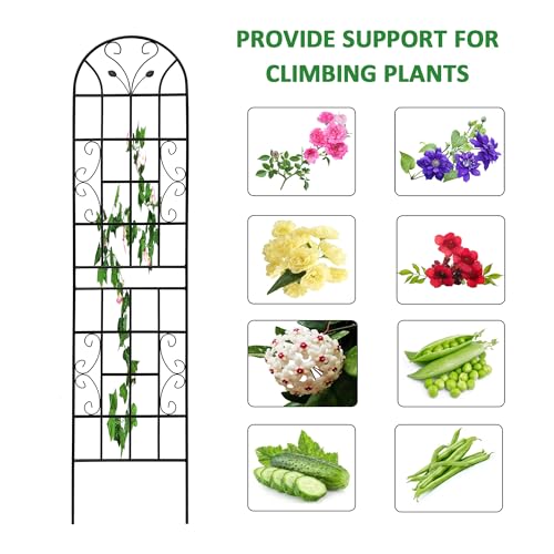 2 Pack Metal Garden Trellis for Climbing Plants