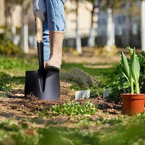 Shovel for Digging (Natural color)