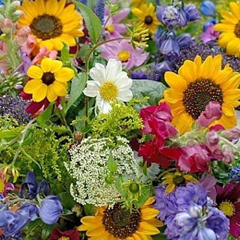 Cut Flower Mix Seed