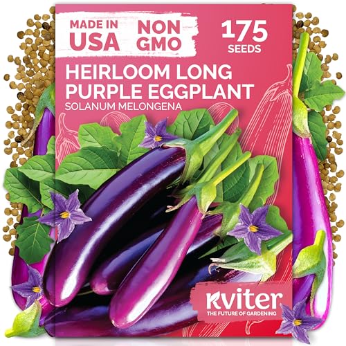 175 Long Purple Eggplant Heirloom Vegetable Seeds
