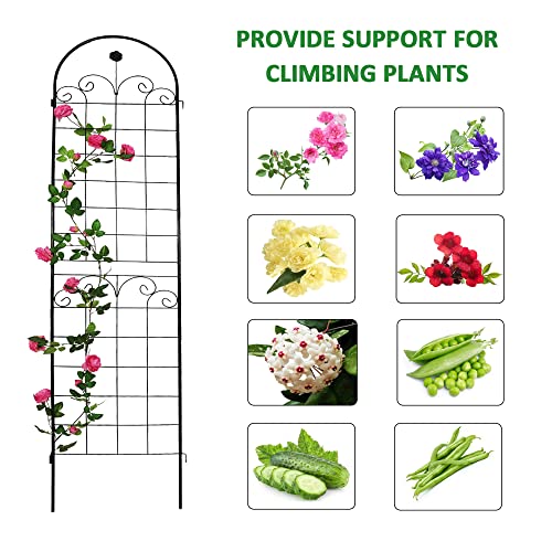 4 Pack Metal Garden Trellis for Climbing Plants (Black C-86.7"H)