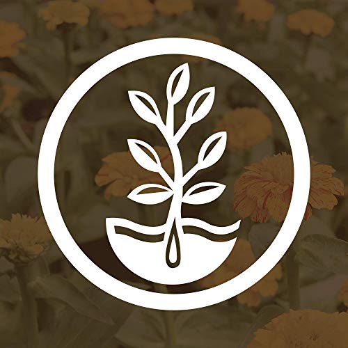 Mountain Valley Seed Co No (25 Pound)