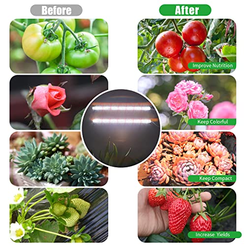 2 Head 13" Growing Lamp for Indoor Plants (White Cabel Red+White / 2 Head 1 Pack)