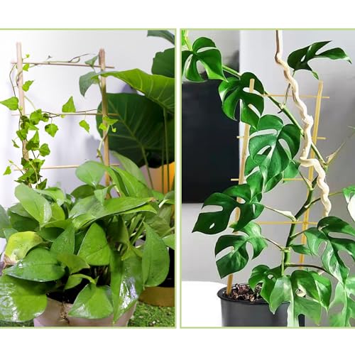 5 Pack Bamboo Trellis for Climbing Plants Indoor