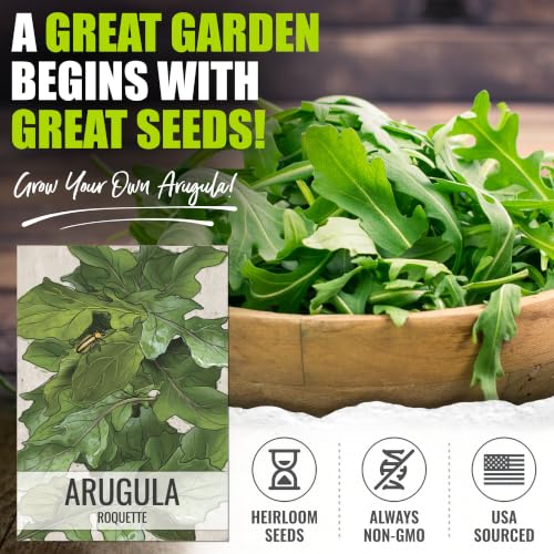 Arugula Seeds to Plant Heirloom Non (5 Packs)