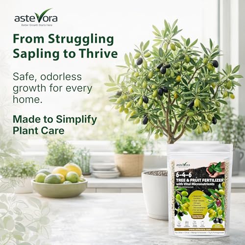 Olive Tree Fertilizer (2 quarts / Olive Tree Fertilizer)