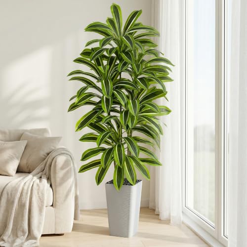 Artificial Dracaena Tree (Light Green – White Pot / 5FT)