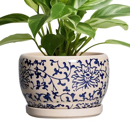 Ceramic Planters for Indoor Plants