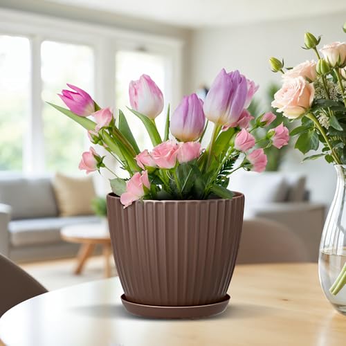 Brown 6 Inch Plant Pots with Drainage & Saucers 24 Pack (24 Count)