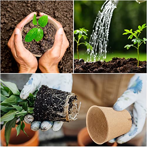 50PCS Peat Pots (3.15")