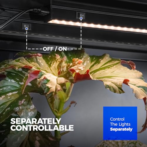 T5 Grow Lights for Growth (8 Count)