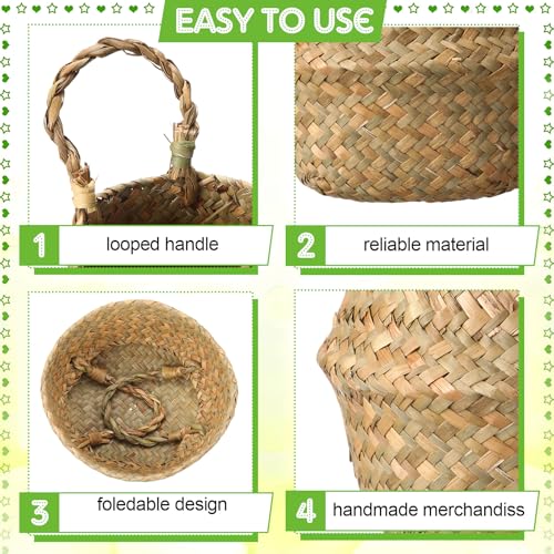 4 Pcs Woven Seagrass Baskets Belly Basket (4 Count)