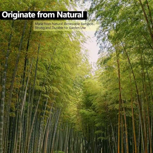 60 Pack 3FT Bamboo Plant Stakes (36 inch 8mm)