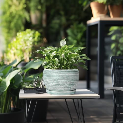 Ceramic Planters for Indoor Plants