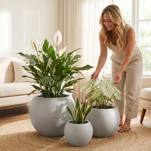 Mount Sherman 12.6" D x 10'' H (Light Gray / Small 12.6''D x 10''H)