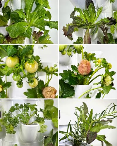 Hydroponic Tower Growing System (45 Count)