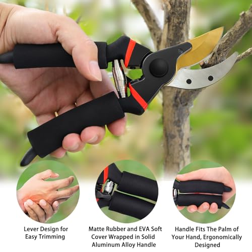 3Pack Pruning Shears (Classic)