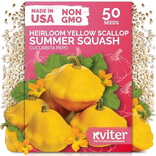 50 Patty Pan Yellow Squash Heirloom Vegetable Seeds