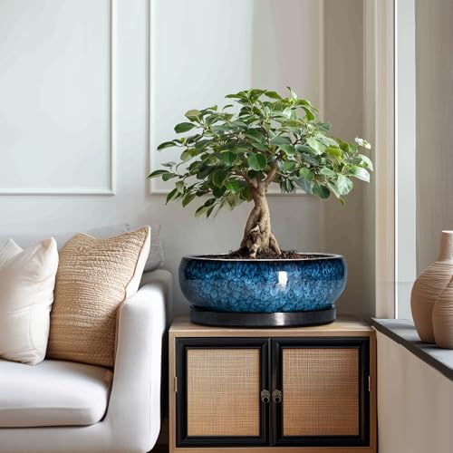 Bonsai Pots 13 Inch Ceramic Succulent Pots for Indoor Outdoor (13 Inch / Blue)