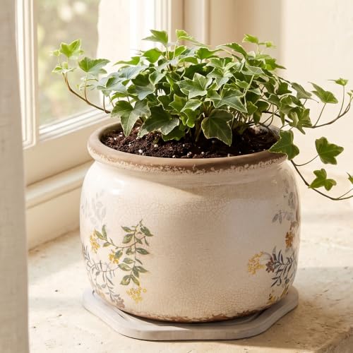 Rustic Cottage Ceramic Plant Pot with Decorative Saucer (Yellow Sage / 7.7 in - w/ Saucer)