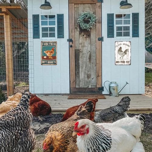 Chicken Coop Metal Signs for Outdoor (a01)