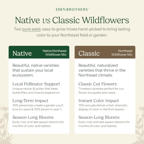 Native Midwest Wildflower Seed Mix (1/4 Pound / Native Midwest)
