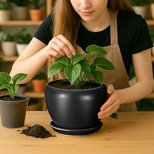 8 Inch Plant Pot