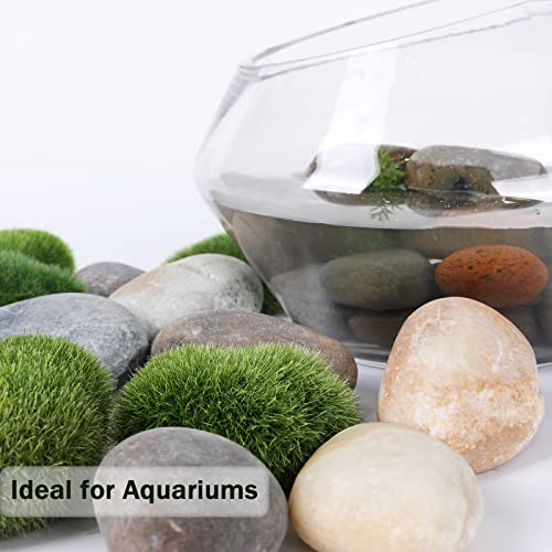 20LB Smooth Pebbles River Rocks for Landscaping (20 Pounds / Mixed)