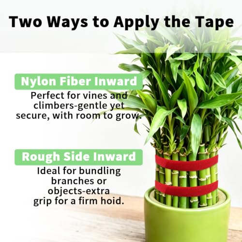 1 Roll 65 Feet (Red - 65 Feet)