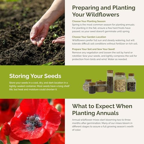 Endless Summer Annual Succession Flower Mixed Seeds for Planting (1 Pound / Endless Summer)
