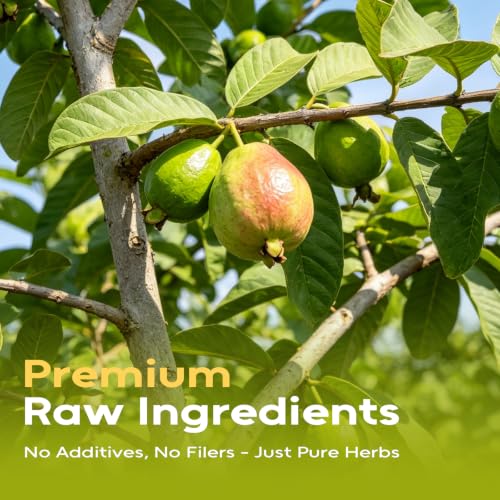 Guava Leaves 4oz (4 Ounce (Pack of 1))